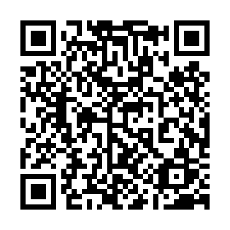 QR code for 110-DSR