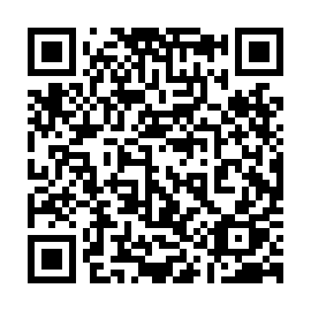 QR code for 110-LAP
