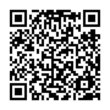 QR code for 110-VCG