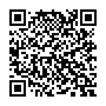 QR code for plate 111-JKD