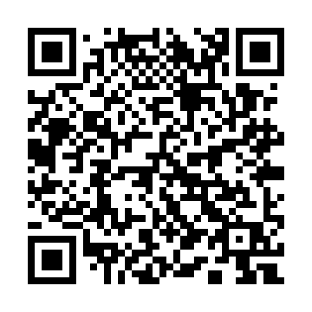 QR code for plate 111-UIP