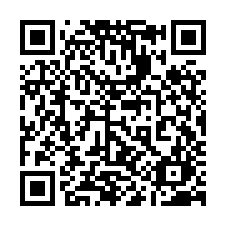 QR code for 113-HZL