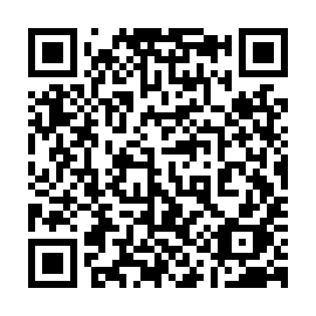 QR code for plate 113-LYH