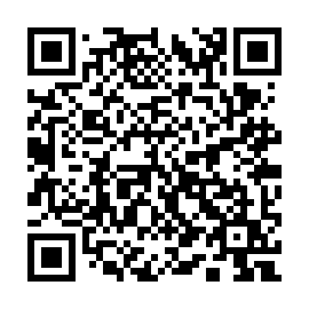 QR code for plate 113-VIU