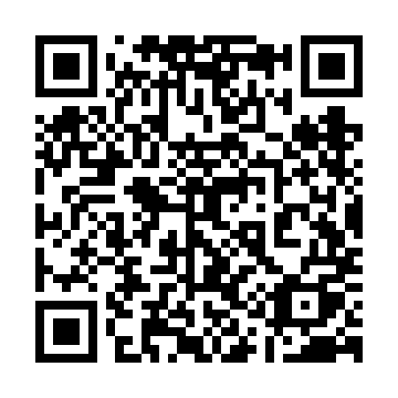 QR code for plate 113-VMQ