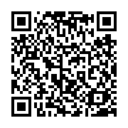 QR code for plate 113-VSK