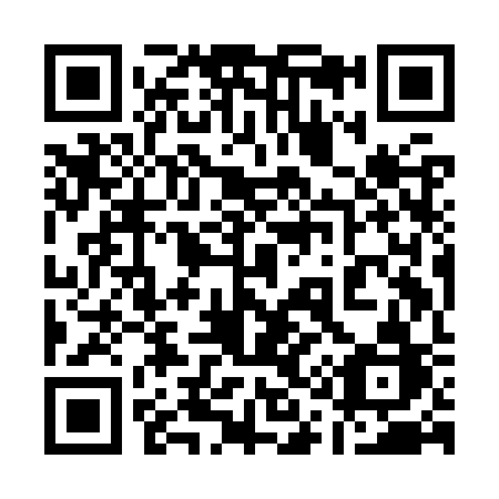 QR code for plate 119-KSB