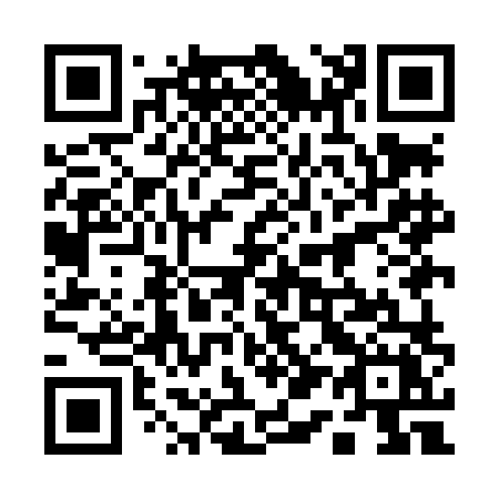 QR code for plate 119-LLX