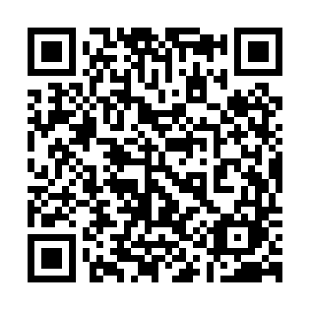 QR code for plate 119-PTM