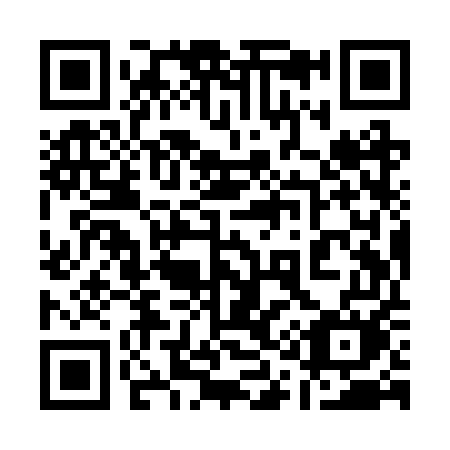QR code for plate 119-RUM