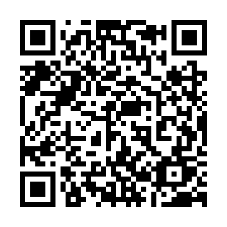 QR code for plate 125-SWT
