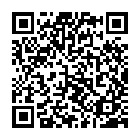 QR code for plate 132-XIS