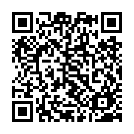 QR code for plate 133-GAG