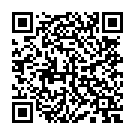 QR code for plate 133-LUR