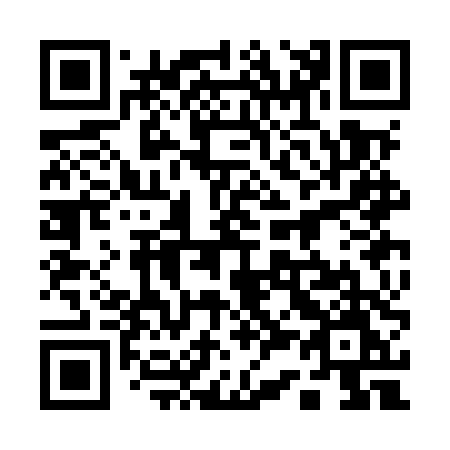 QR code for plate 133-MTM