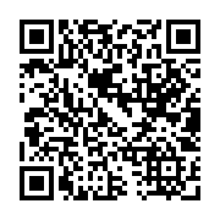 QR code for plate 133-SJE
