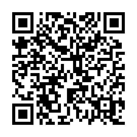 QR code for plate 133-ZSH