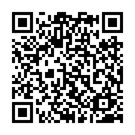 QR code for plate 138-BSW