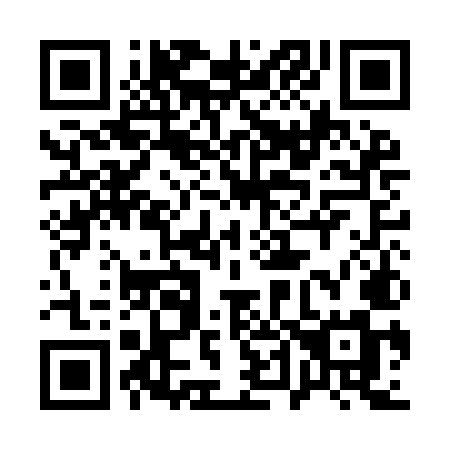 QR code for 141-IMM