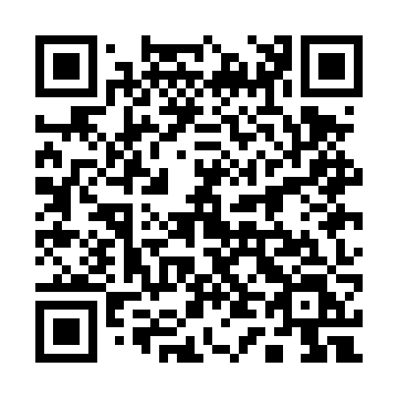 QR code for plate 141-DZL