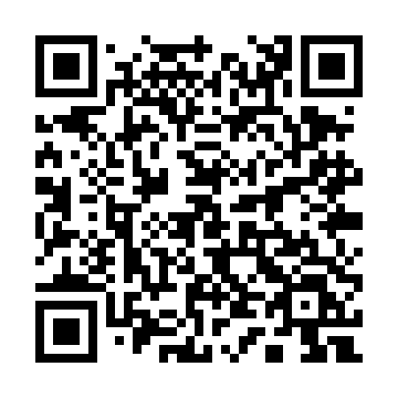 QR code for plate 141-TDL