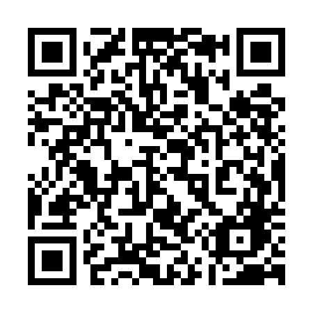 QR code for plate 155-UDG