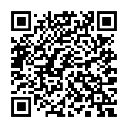 QR code for plate 156-NOE