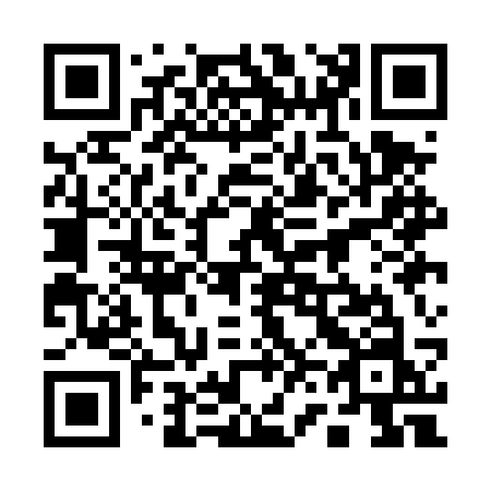 QR code for 161-DSN