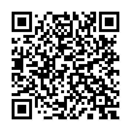 QR code for 161-HPG