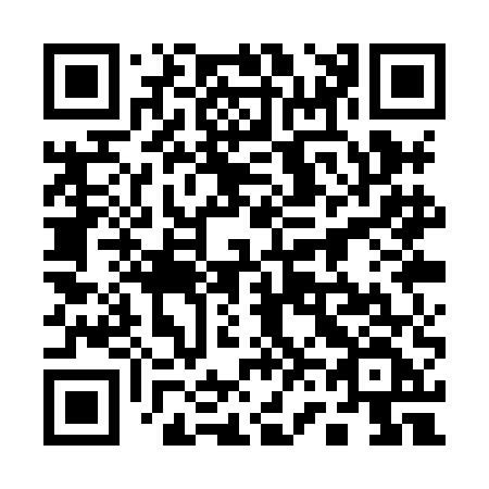 QR code for 161-XEF