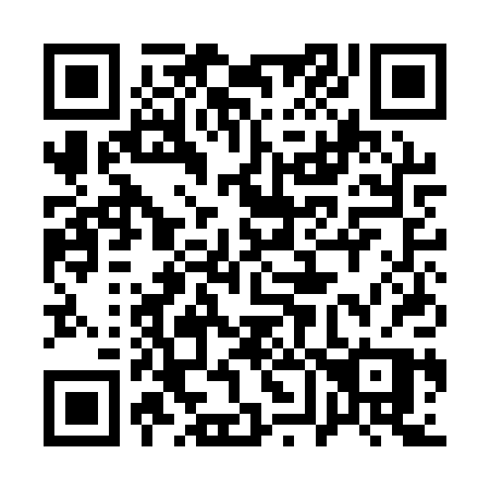 QR code for plate 161-APP