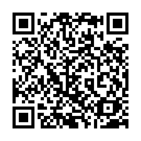 QR code for plate 161-ICK