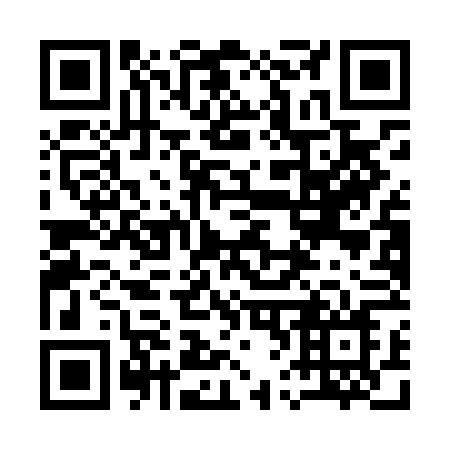 QR code for plate 161-LFN