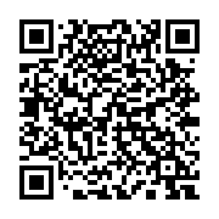 QR code for plate 161-PVE