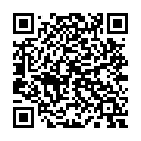 QR code for plate 161-PVL