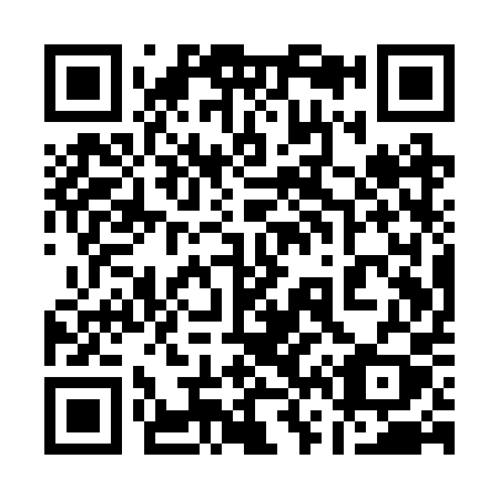 QR code for plate 161-RPY