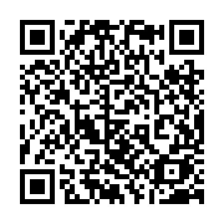 QR code for plate 161-SOH