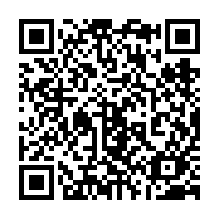 QR code for plate 161-VAO