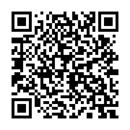 QR code for plate 161-VYG