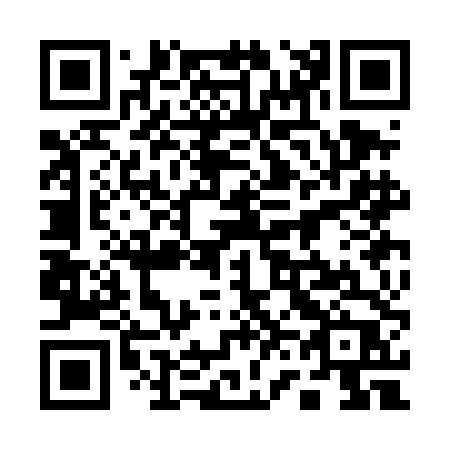 QR code for plate 163-DDP