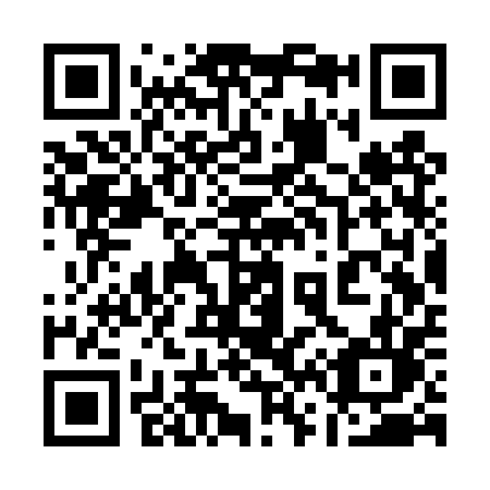 QR code for plate 163-TPL