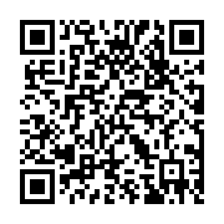 QR code for plate 173-EIF