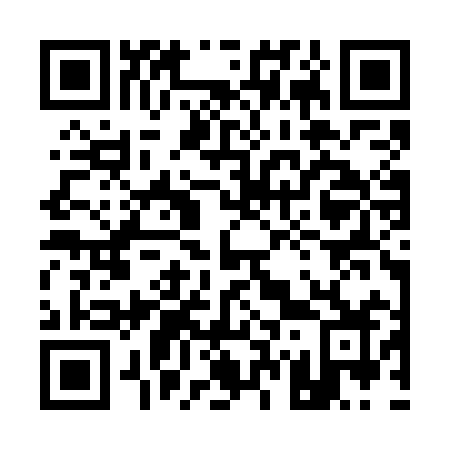 QR code for plate 173-WIZ