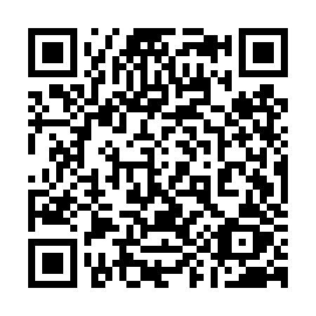 QR code for plate 195-DZZ