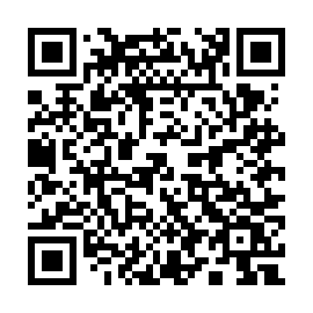 QR code for plate 195-FNV