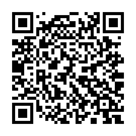 QR code for 196-PHF