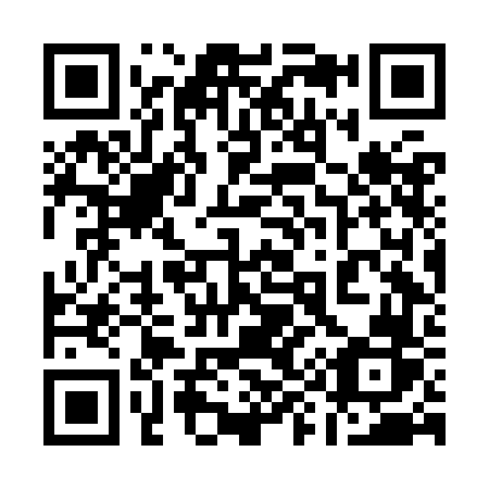 QR code for plate 196-KFR