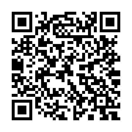 QR code for plate 196-XPI