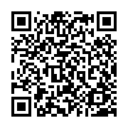 QR code for 197-PZR