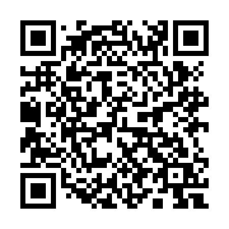QR code for plate 199-JAS